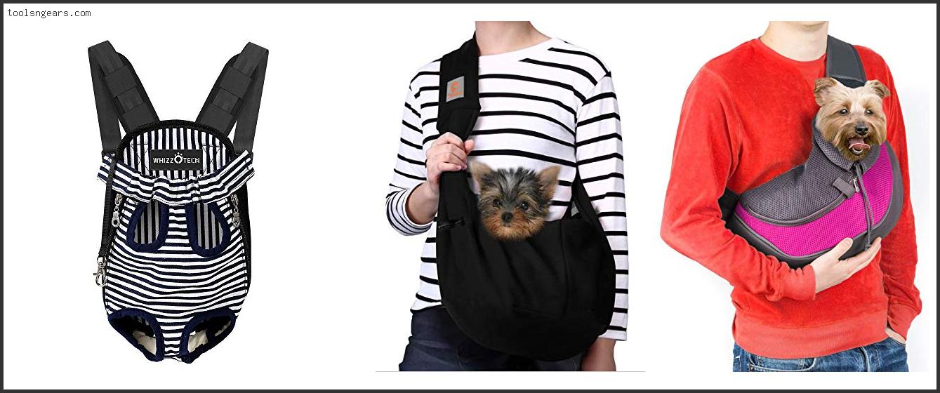 Best Baby Carrier For Dog Walking