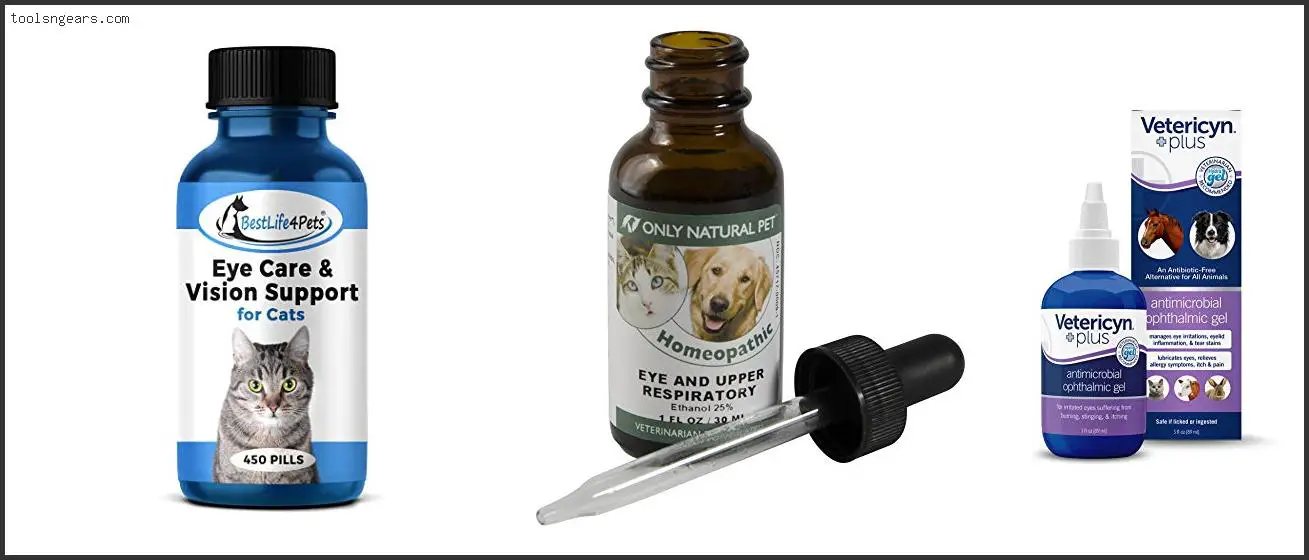 Best Medicine For Cat Eye Infection