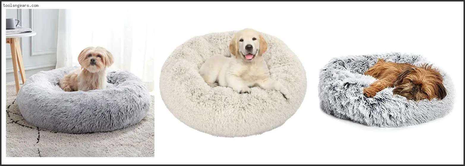 Best Donut Cuddler Dog Bed