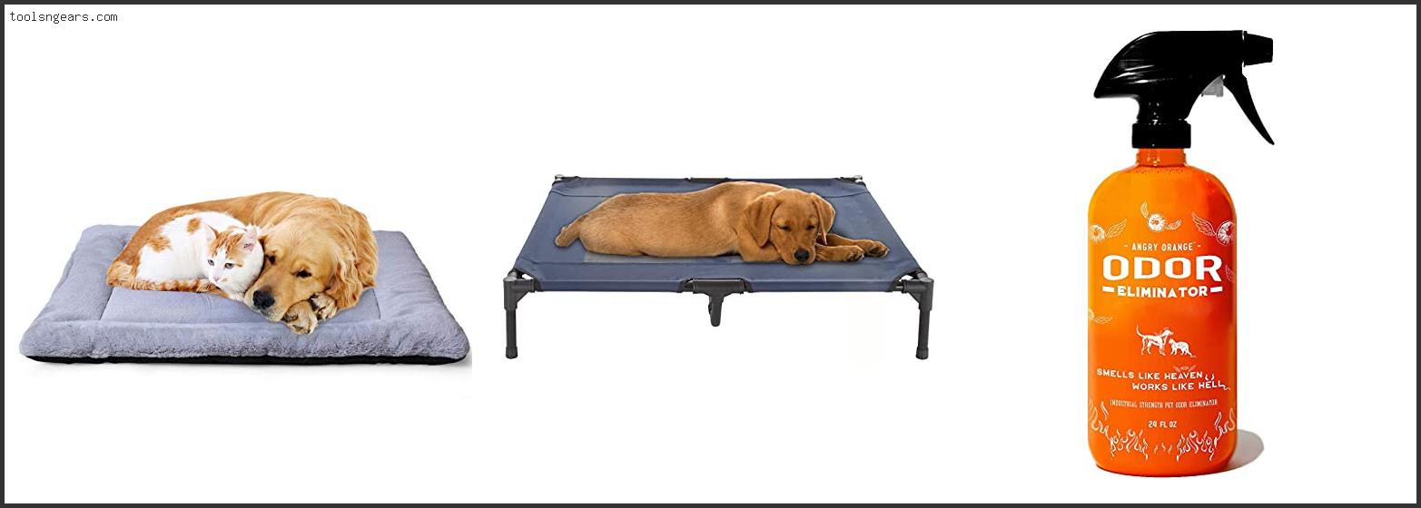 Best Dog Bed For Not Smelling