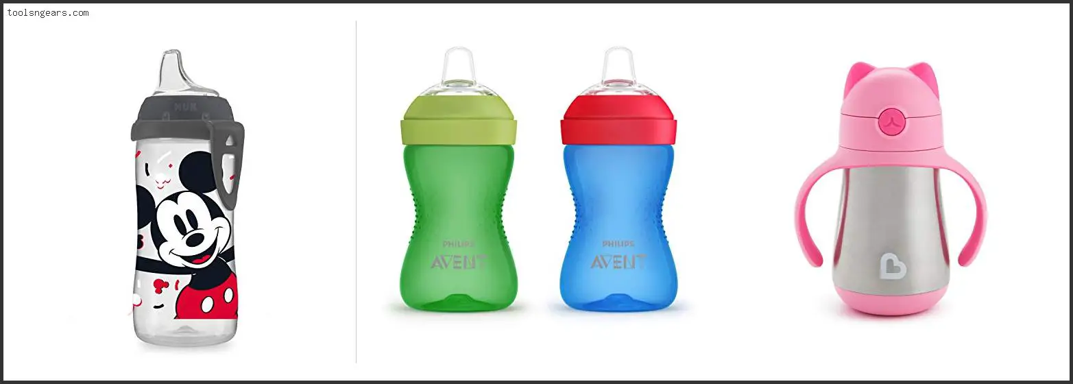 Best Sippy Cup For Milk For Toddler